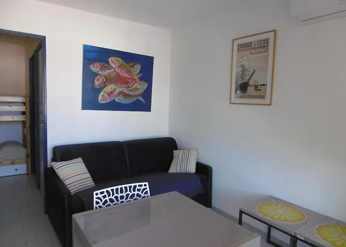 Appartement Climatise A Sete Avec Parking Prive, 2 Pieces Pour 4 Pers - Fr-1-472-170